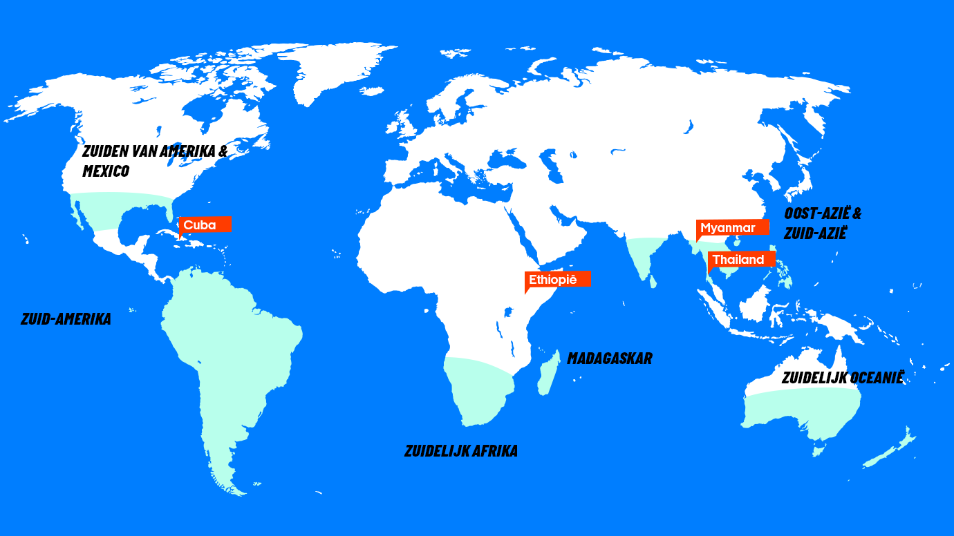 Kaart met beste reistijd november | Beste bestemmingen november | Reiskalender | KILROY