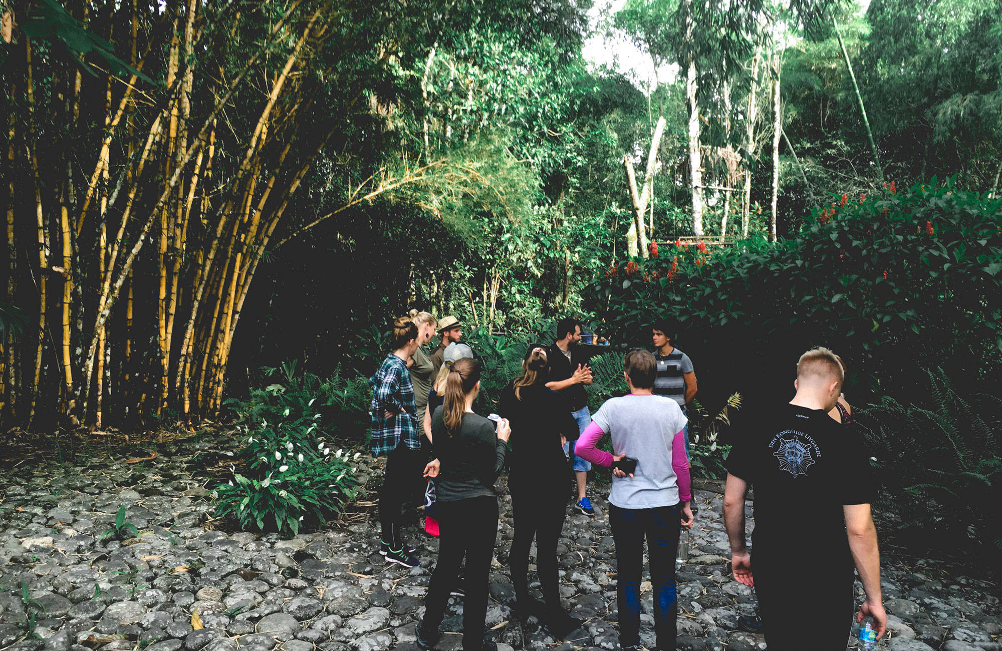 vrijwilligers in de jungle | 3 (vrijwilligers)projecten in kleurrijk Ecuador | KILROY