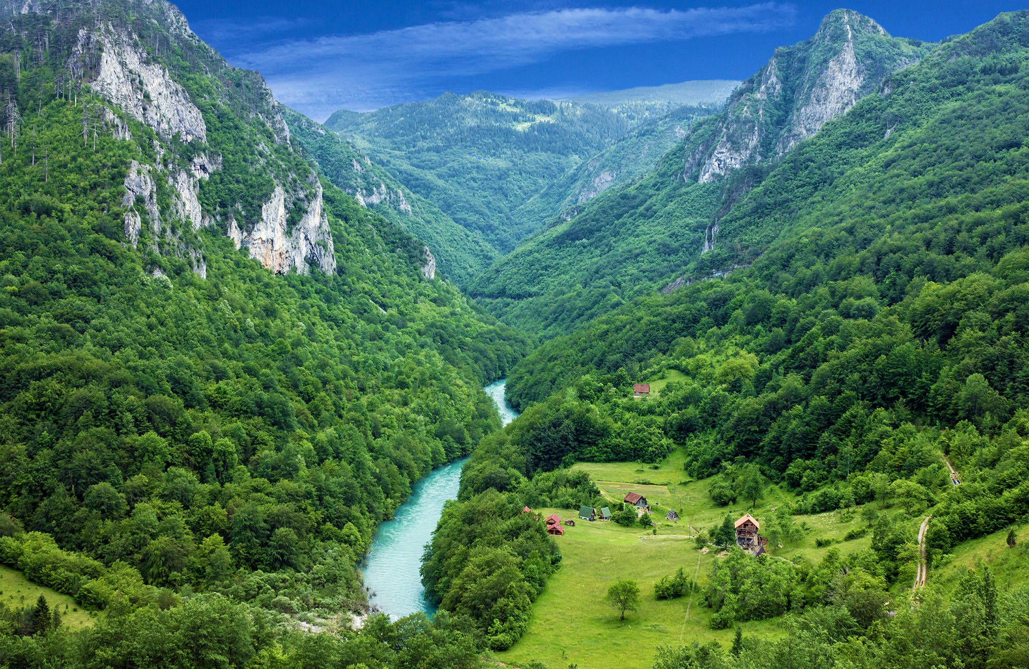 Tara rivier in de bergen | Reizen naar Montenegro | KILROY