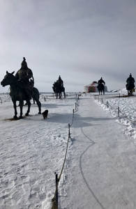 Paarden bewaken ger | Trans-Mongolië Express | Van Sint Petersburg naar Beijing | KILROY