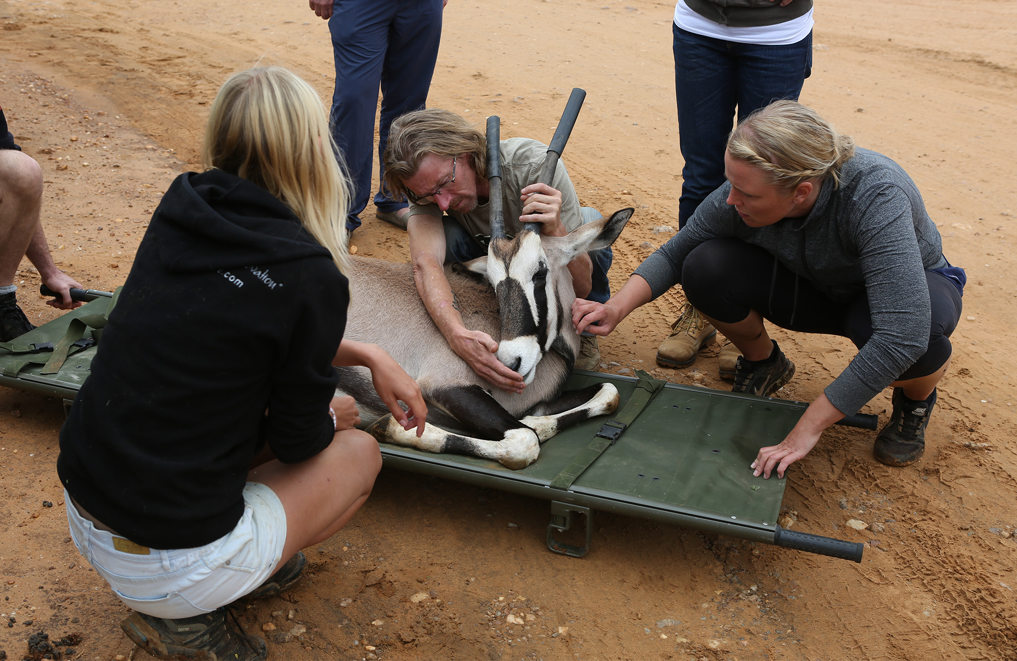 Volunteer Africa Namibia SAVE Antelope