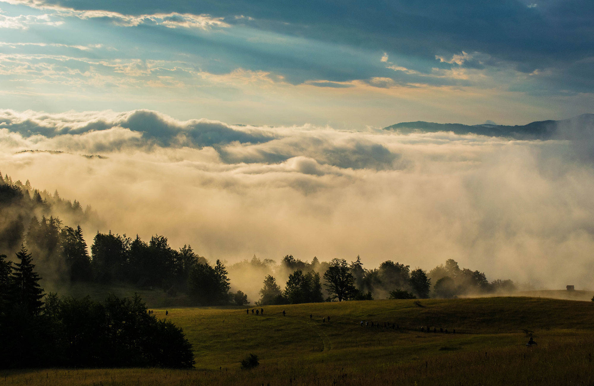 Groen landschap in de mist | Reizen in Servië | KILROY