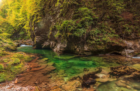Kloof met groen water | Reizen naar Bled | KILROY