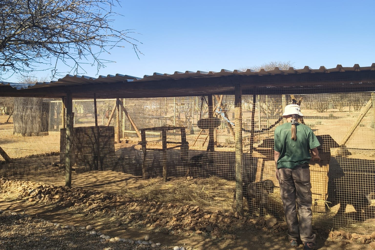 Whatsapp Image 2025 11 04 At 15.53