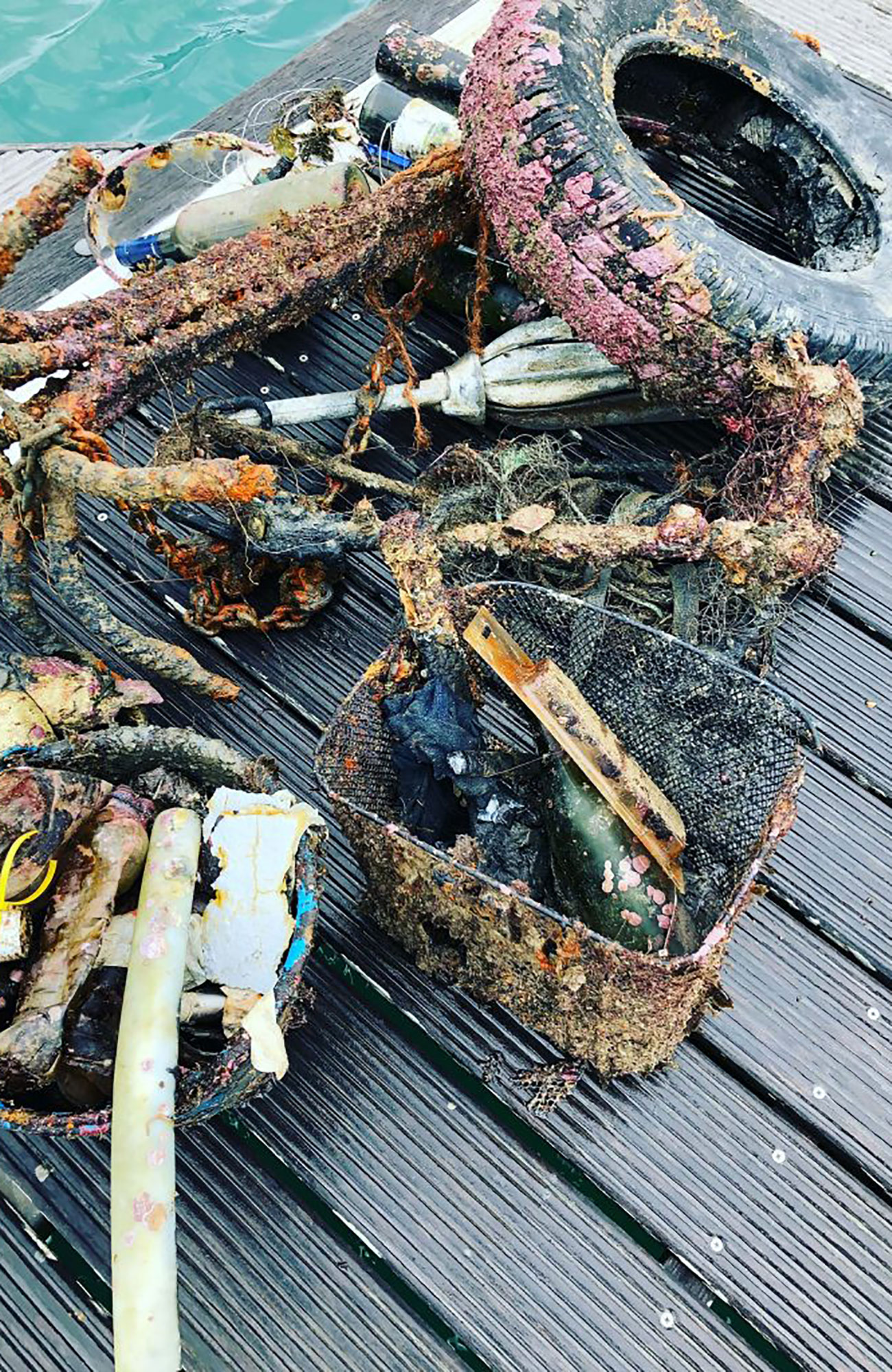 Mariene conservatie in Portugal | Vrijwilligerswerk Europa | KILROY