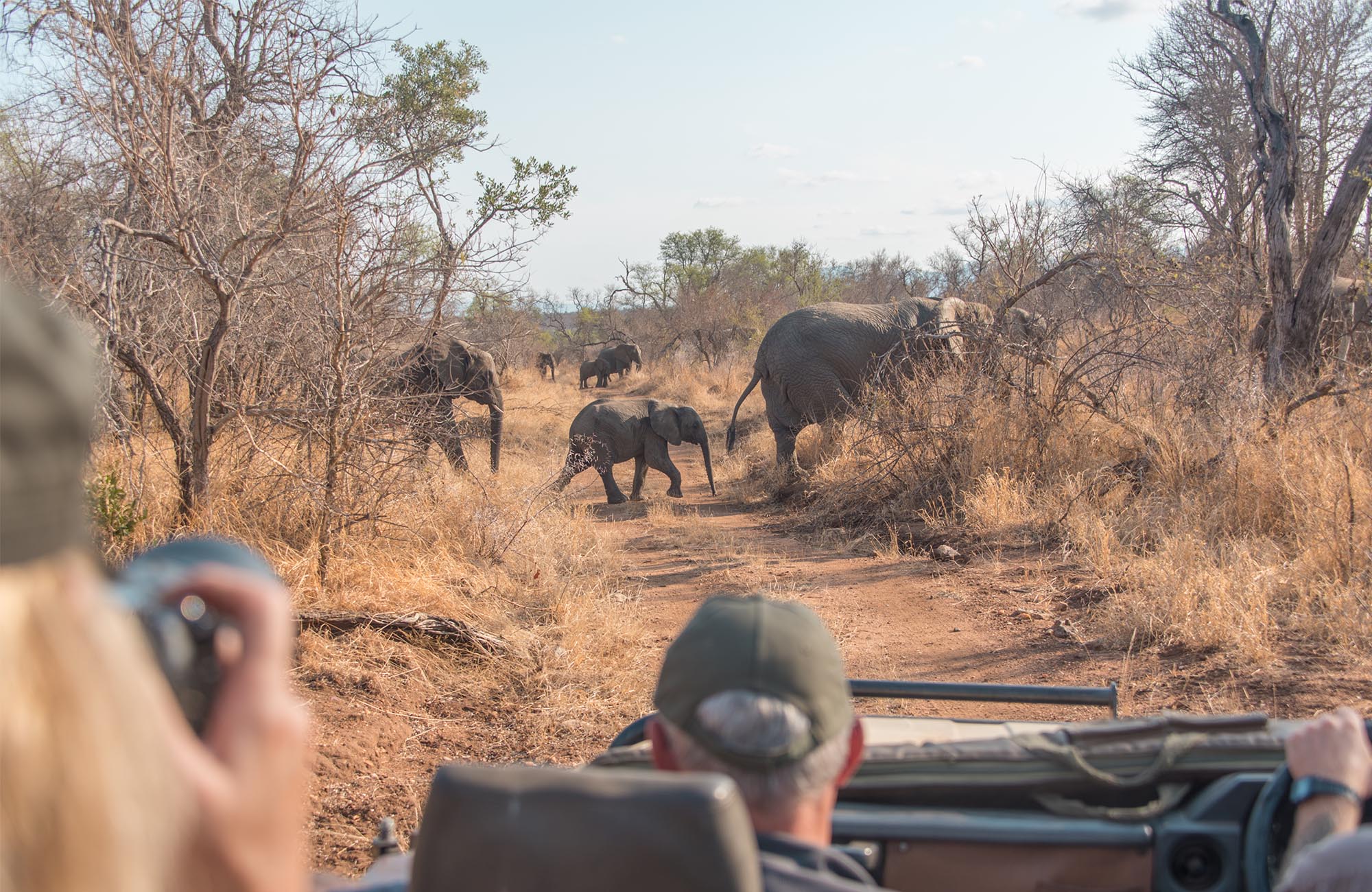 Influencer-Sam-vrijwilligerswerk-Zuid-Afrika-olifanten