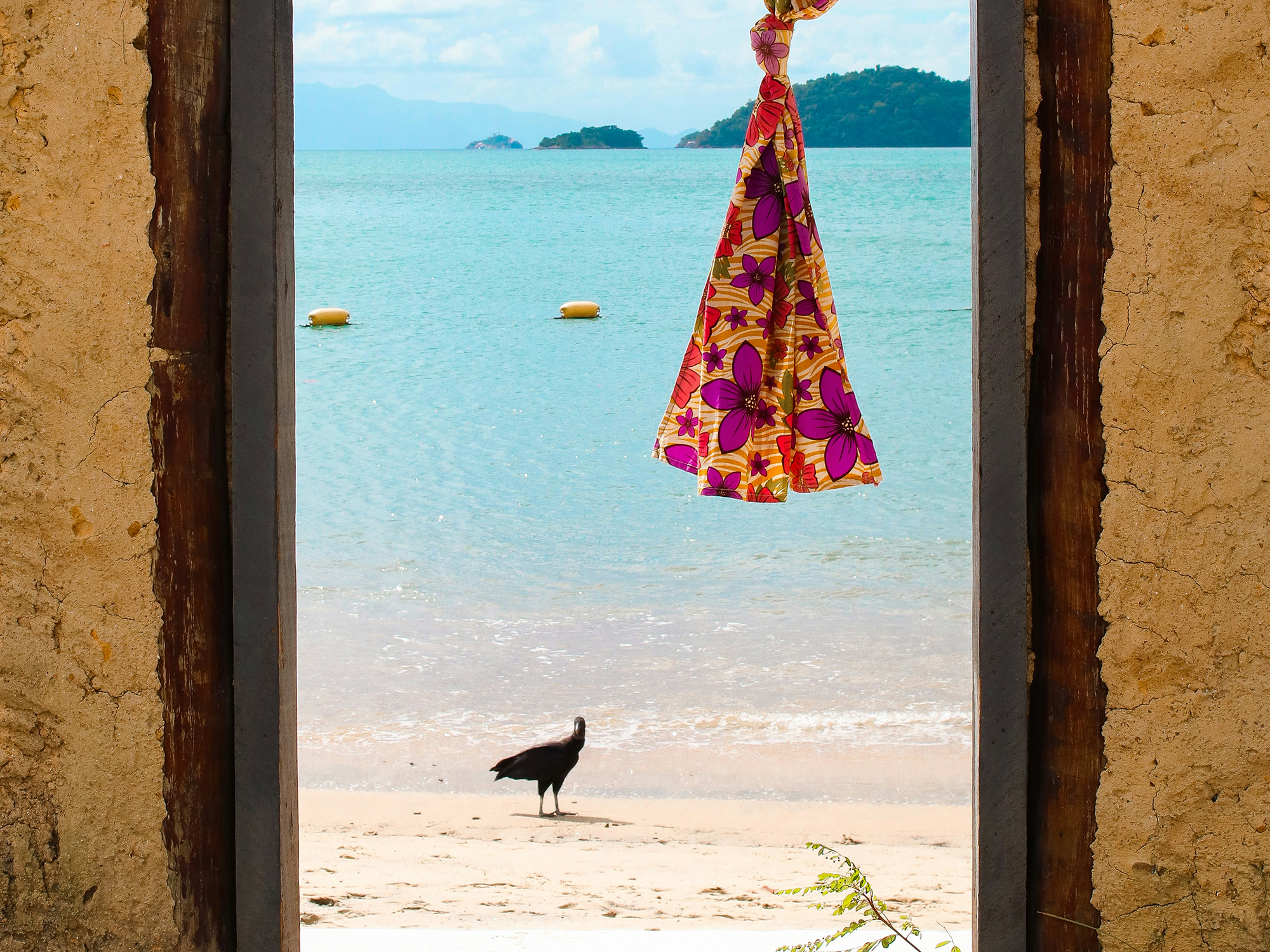 dörröppning på ilha grande i brasilien