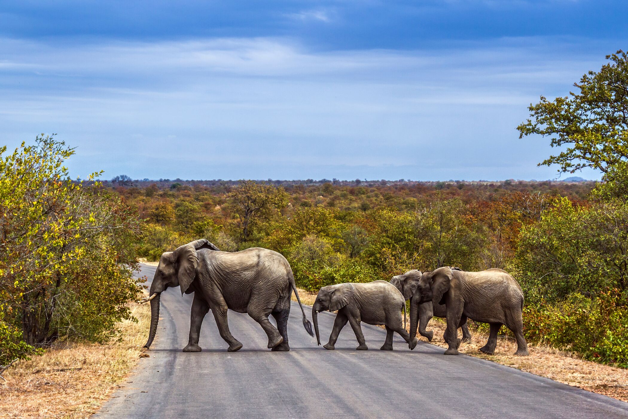 Web Horizontal Shutterstock 1737220319