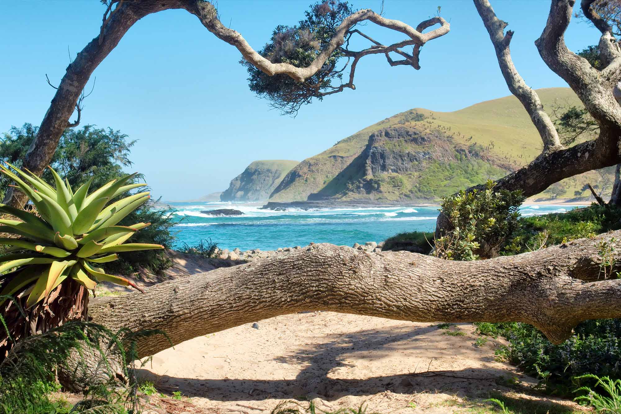 Een prachtig afgelegen stand op een zonnige dag | KILROY