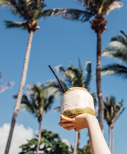 Kokosnoot in een hand | Thailand reizen | KILROY