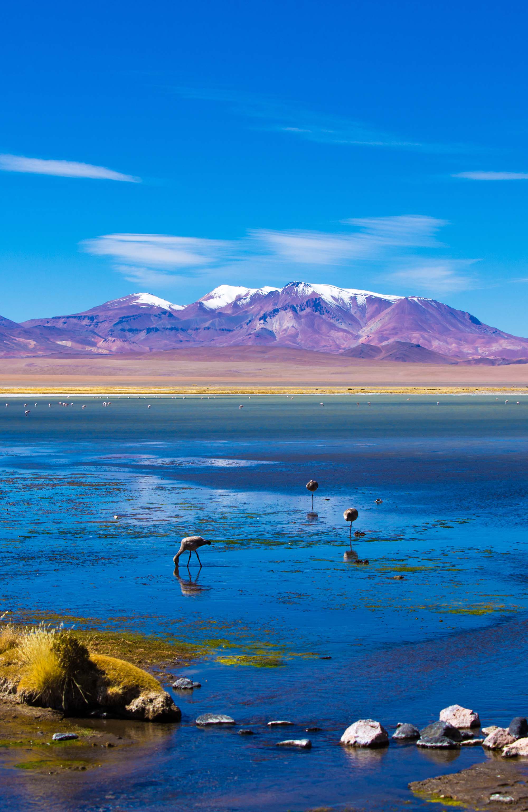 Meer bij San Pedro de Atacama | Reizen met KILROY
