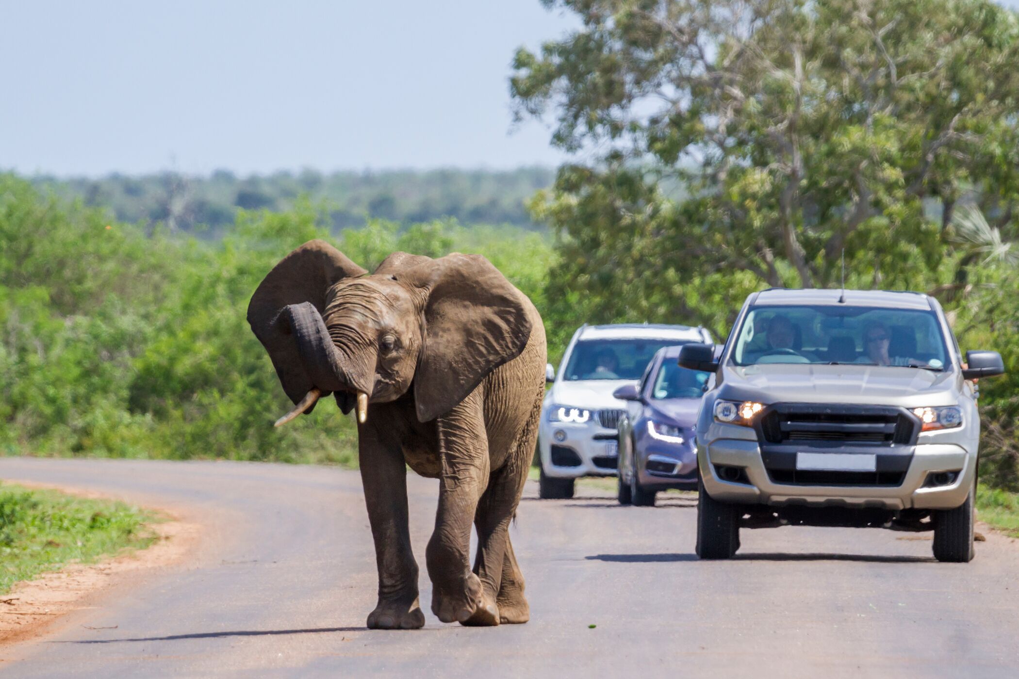 Web Horizontal Shutterstock 770260165