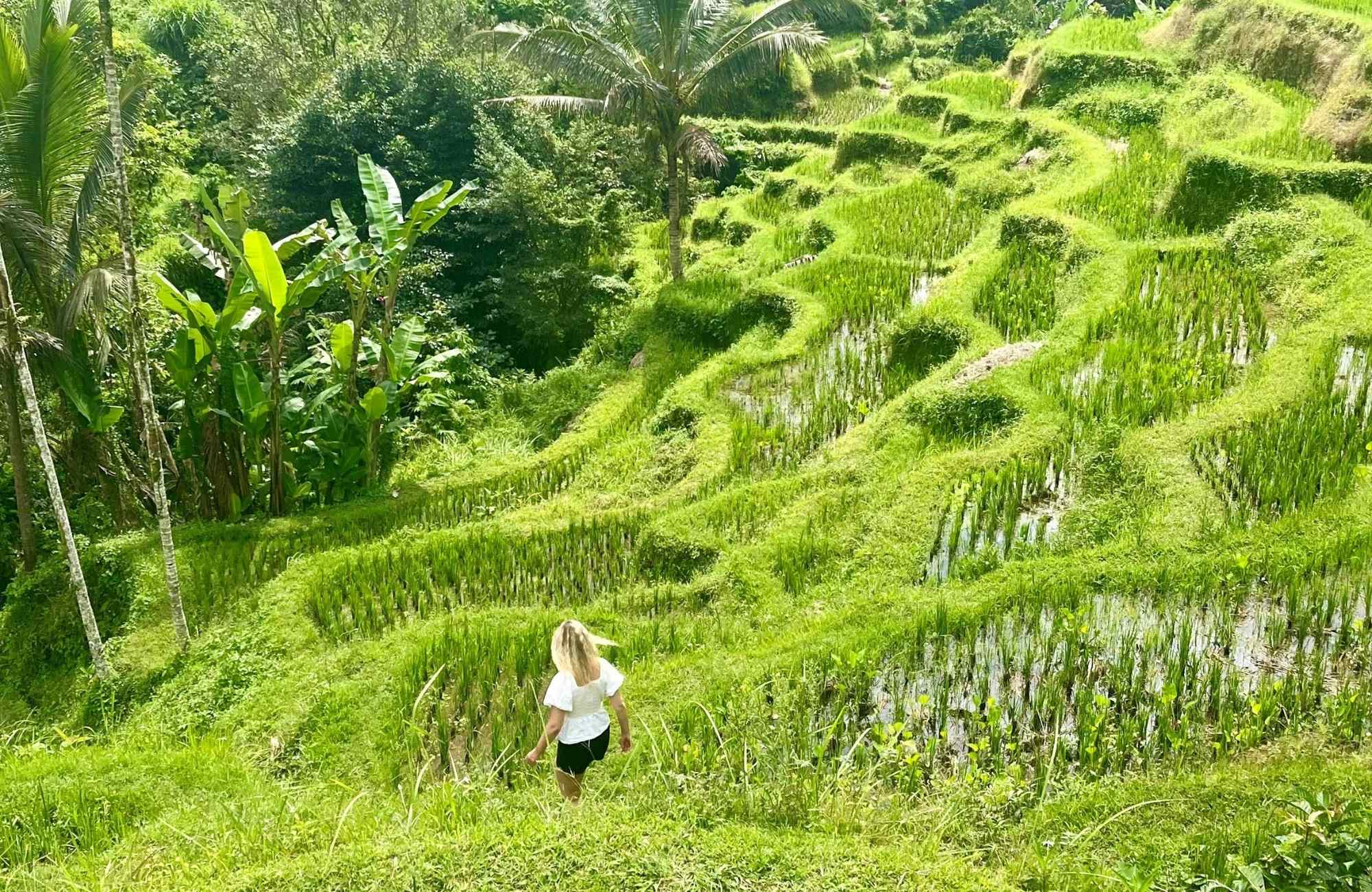 Ga op de ultieme Bali rondreis in 3 weken | KILROY