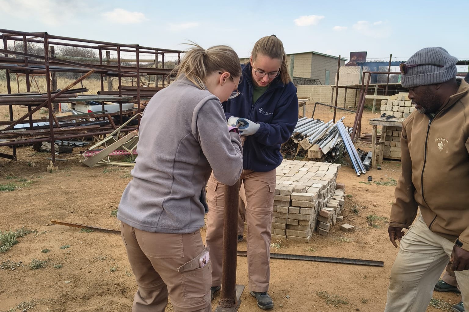 Whatsapp Image 2025 11 04 At 15.53