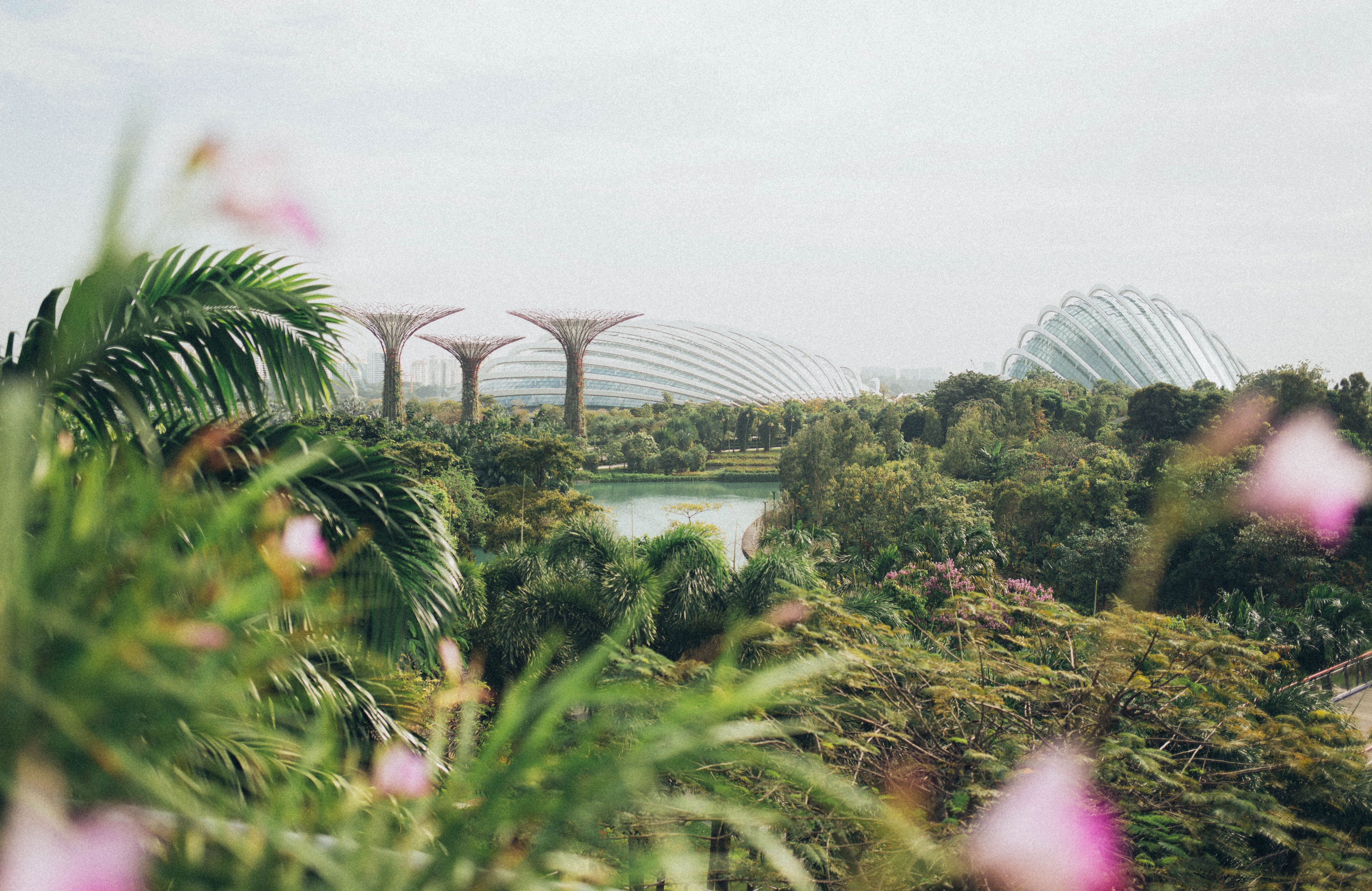 Uitzicht over de Gardens by the Bay in Singapore