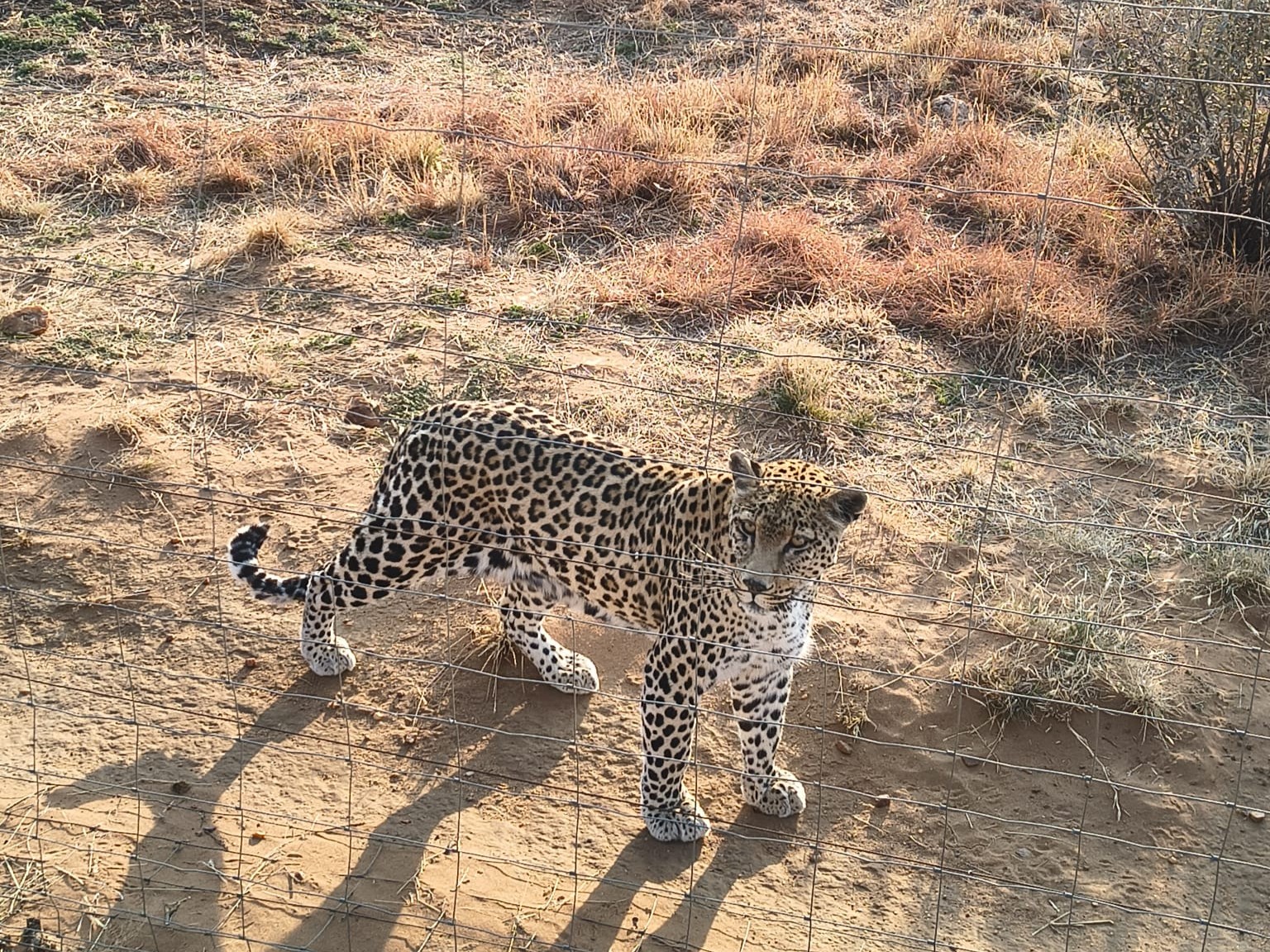 Whatsapp Image 2025 11 04 At 15.53