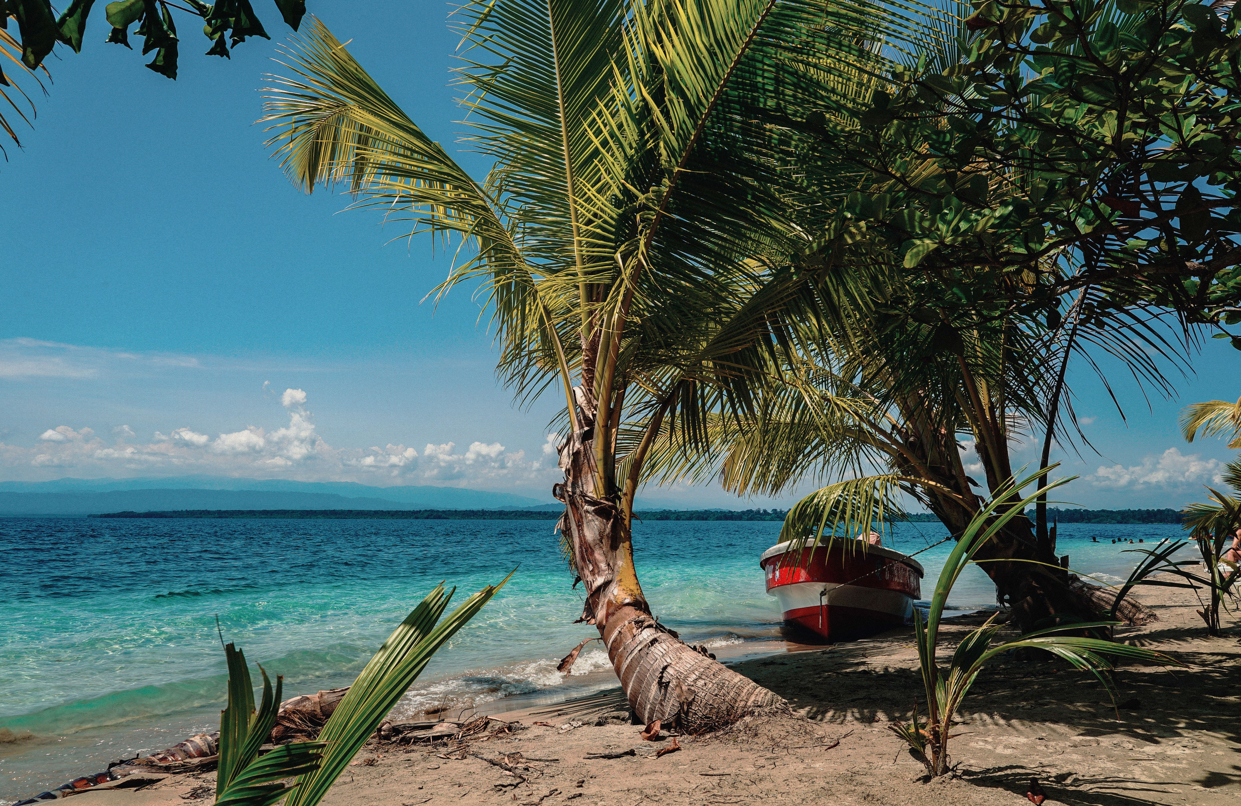 Tropical Beach In Panama With A Boat