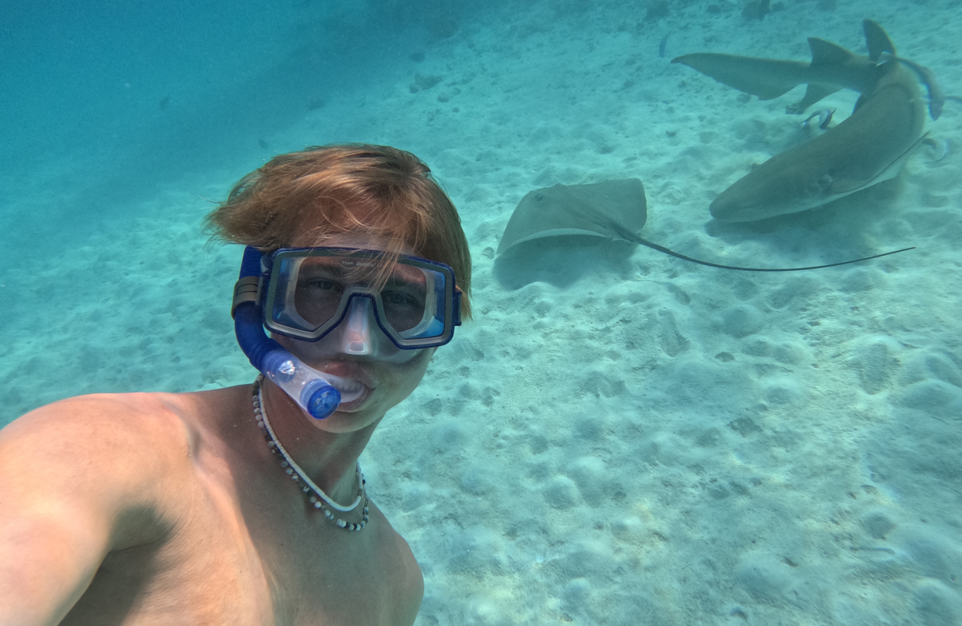 Jonge man die aan het snorkelen is bij de Malediven - KILROY