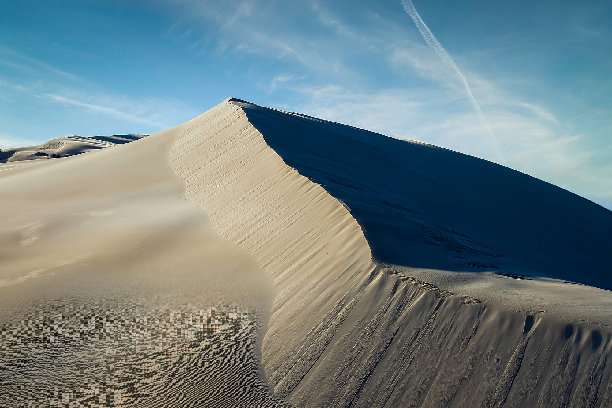 South Africa Port Elizabeth Beach Dunes