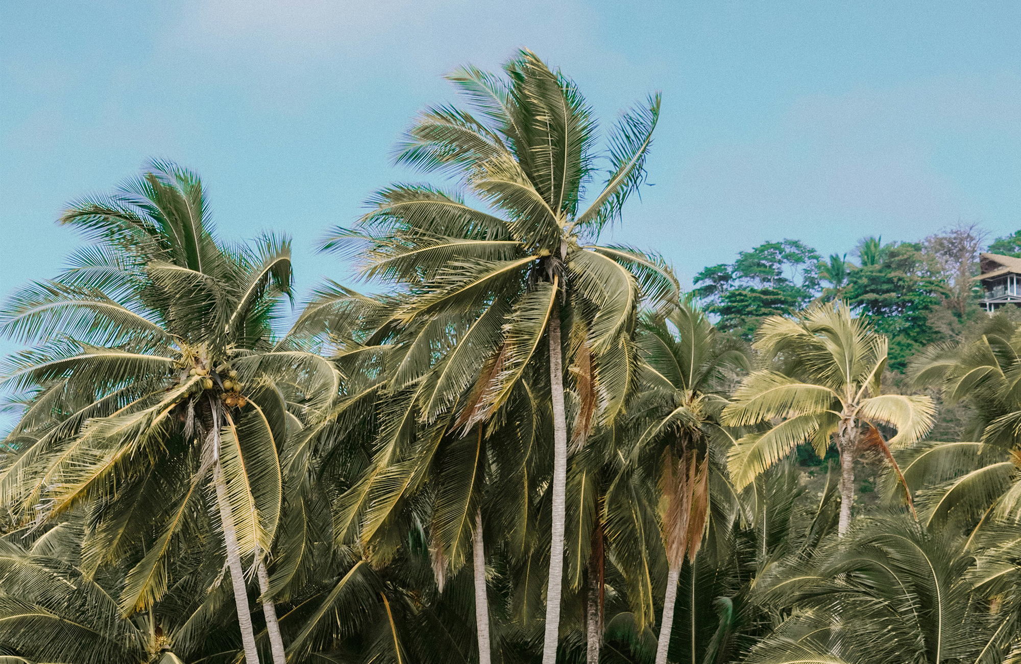 Rikke Hembre 7Rdhu6k1css Unsplash