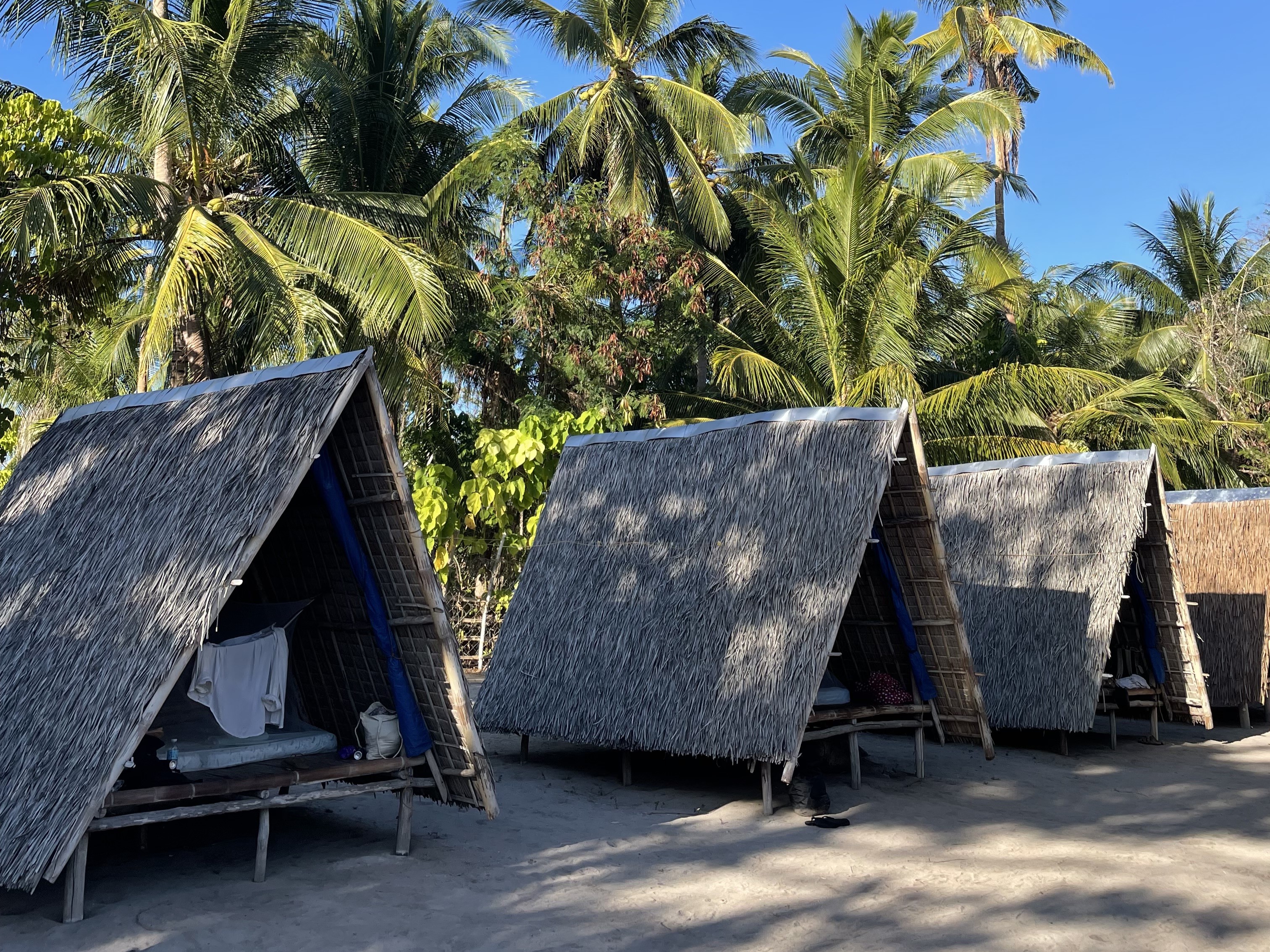 A group of young travellers biking through the Green Lungs of Bangkok, with lush green forest on each side of the bike path