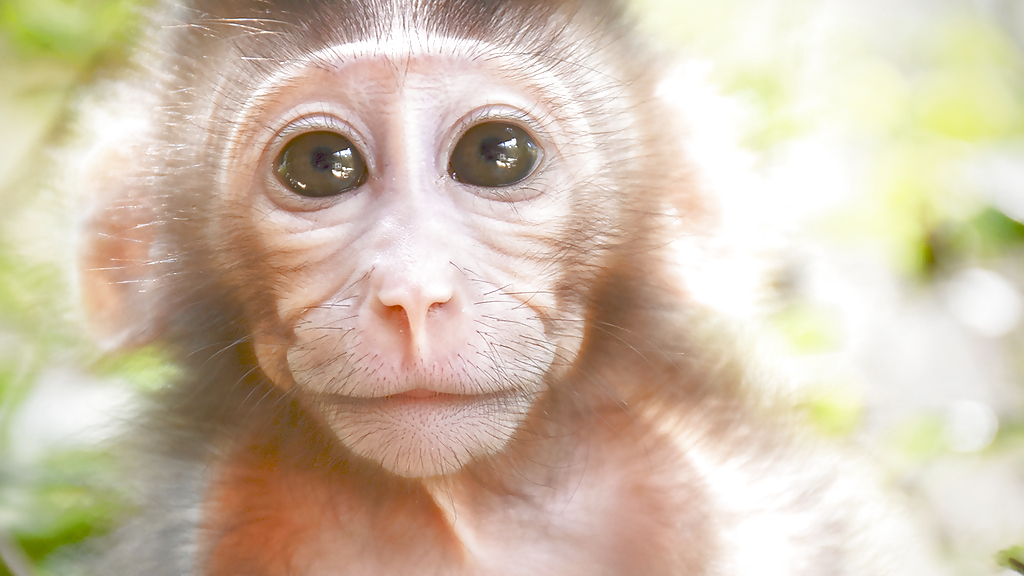 wfft-volunteering-32_1280x720_for_navi_web