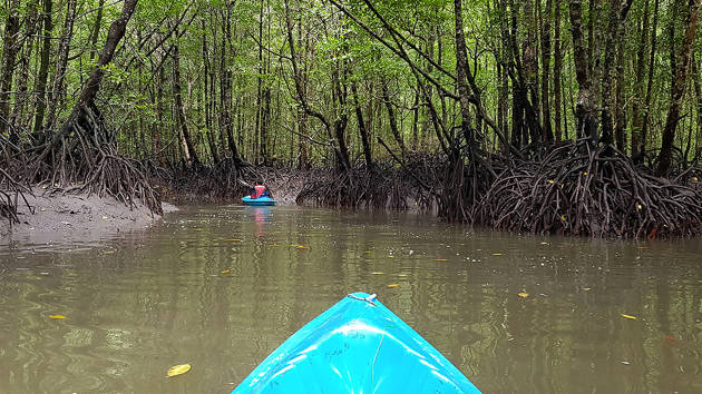 langkawi_-_mangrove_kayaking_3_1280x720_for_navi_web