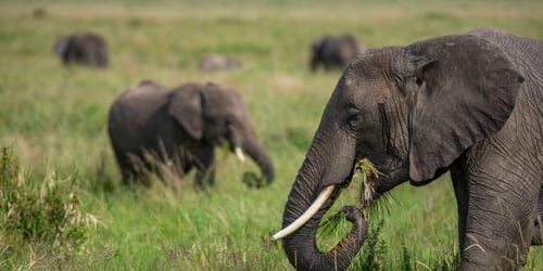 806eee2e1d9b3c653874d757415e7a92