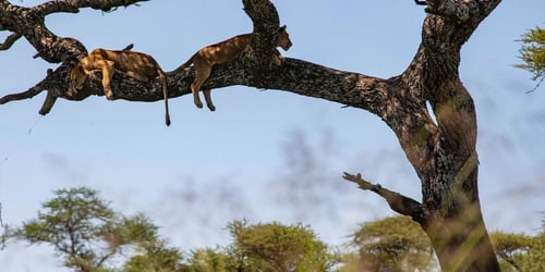 dfc4deffd122037a871c260313371d73