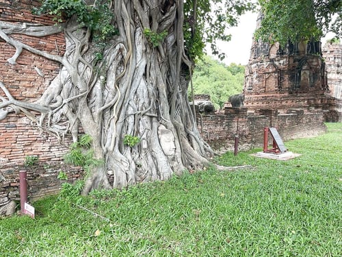 ayutthaya-wat-mahathat_gallery_full