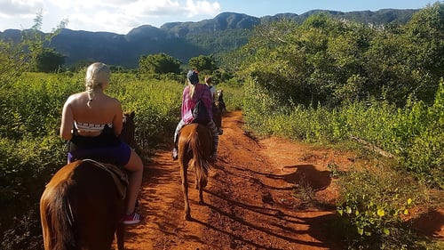 vinales_1_1280x720_for_navi_web