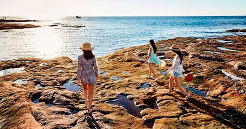 33409-e4dc0126-b71b-4da4-97b3-4a46d1cac175-thumbnail