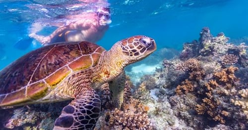 35475-a86ad83f-ff21-4fed-aa98-4d20786b003c-thumbnail