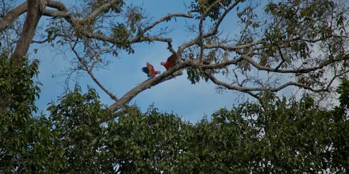 7356692c30facf647d066a4f0a397a79