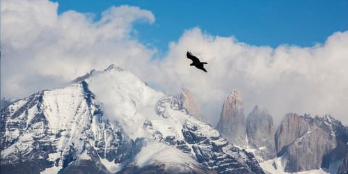 69af497ac733aeceddfccc54d18c525d