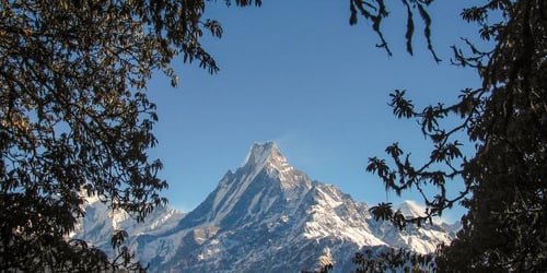 e69fa4428cb417f188eba1a2b8ede4ee