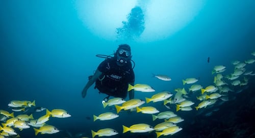 1_bv-product-web-gallery_0001s_0002s_0020_DSC08546