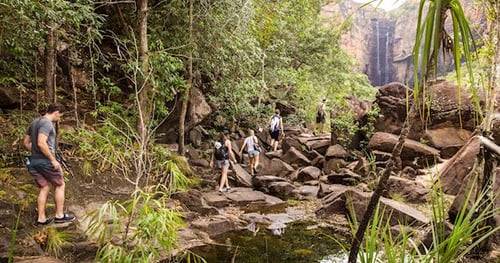 35981-9ee97e78-0546-45ca-ae4e-882dc4d84afc-thumbnail