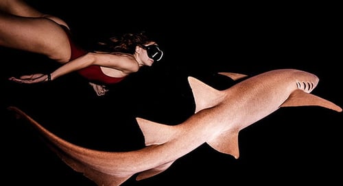 bv-product-web-gallery-snorkel-1