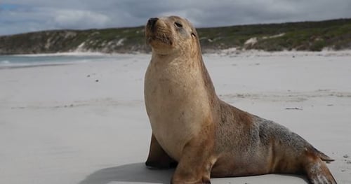 43728-c1755e77-9870-4b4c-a506-ac5a9587f540-thumbnail