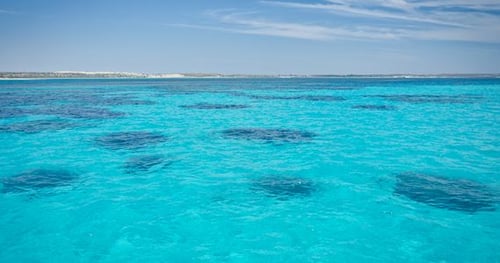 35987-cc94d6b5-46eb-4d90-9a0f-cf1bb0adbe9d-thumbnail