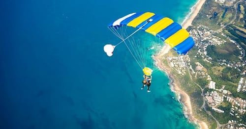 44207-a9e71007-e566-46ab-a185-359ed073c996-thumbnail