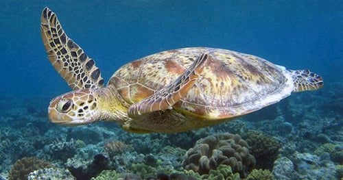 26863-a87b219c-f564-417f-bf76-ada2a8eb64d7-thumbnail