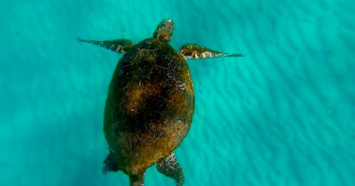 22239-0fdf4cca-ef5f-4489-a7fe-7189d7b86fd4-thumbnail