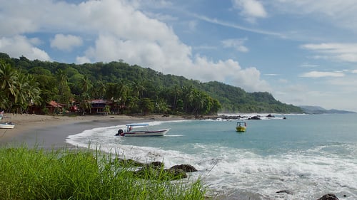 turtle-sanctuary-3_29644265800_o_1280x720