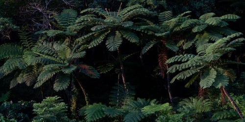 9b357b7199bd0094a98ec97e8241485b