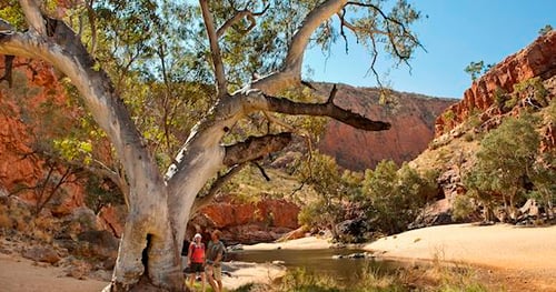 37516-0d9a26a0-ecec-46b9-94ae-ba3eba0f60d5-thumbnail