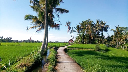 ubud_biking_moderate_trip_3hrs_-_2019_3_1280x720_for_navi_web