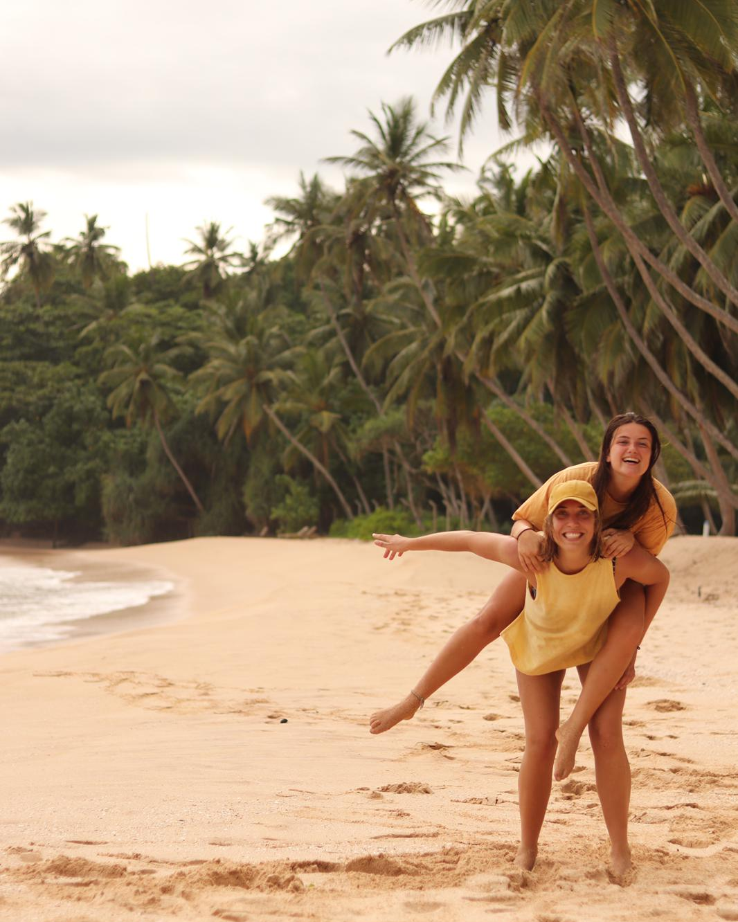 Palmen in Sri Lanka - KILROY