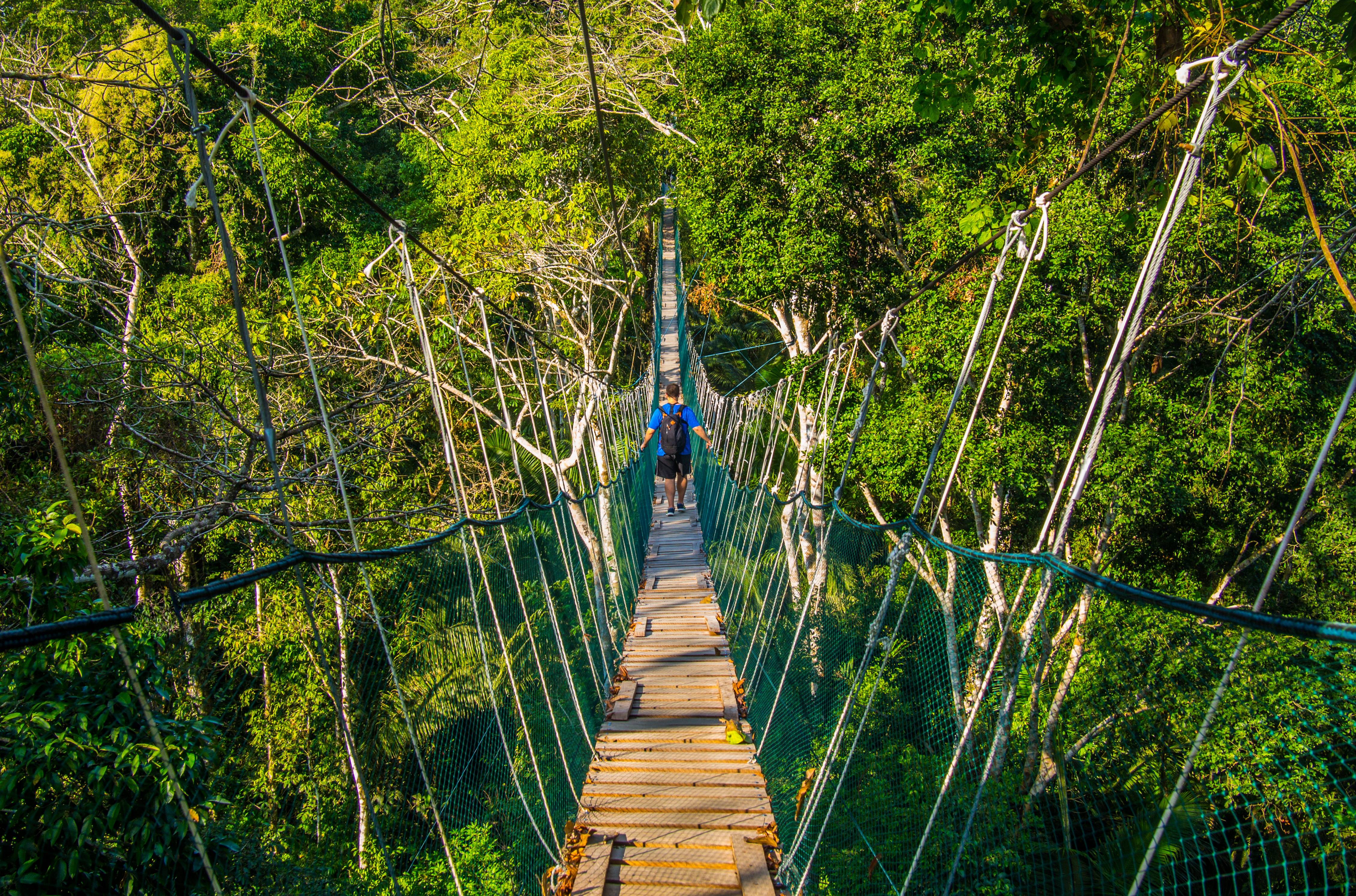 Shutterstock 593929751